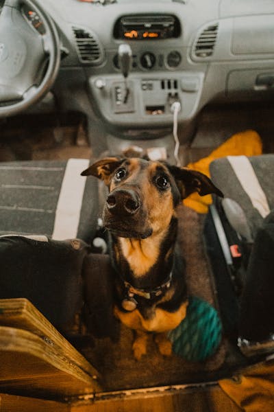 Ayla sitting in the cockpit of the van.