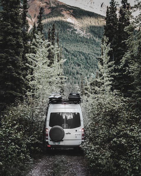 Vanlife in the forest