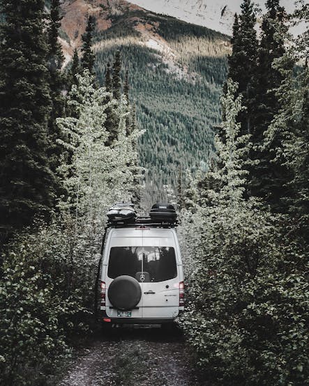 Van heading into the forest